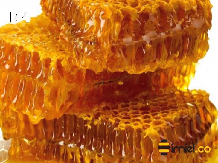 Panal de miel - abejas