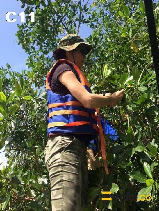 Inspección de campo - Bosque manglar - Dra. Calongge